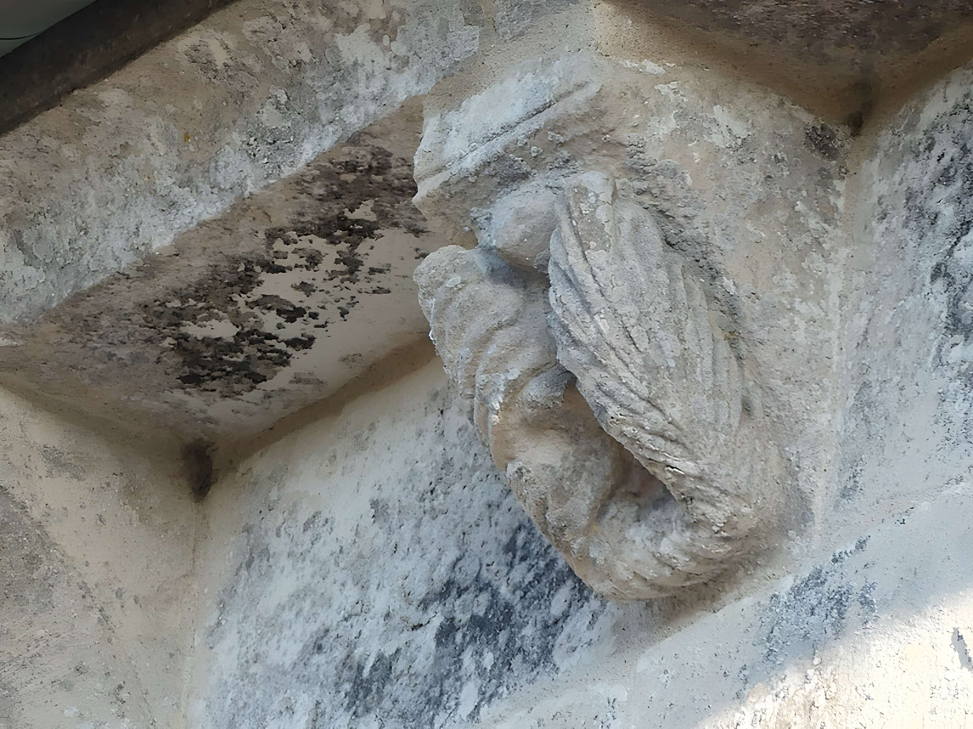 Église Saint-Martin de Petit-Niort de Mirambeau