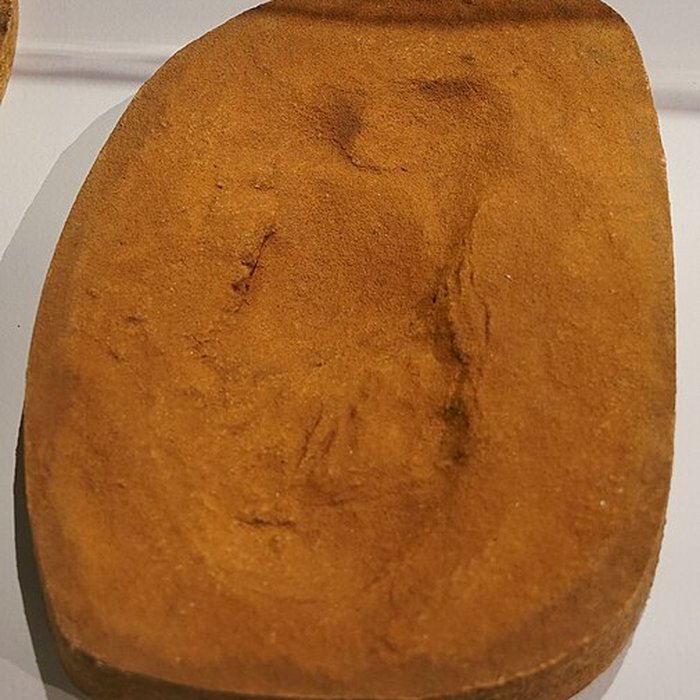 Photo de Site paléolithique moyen du Pou