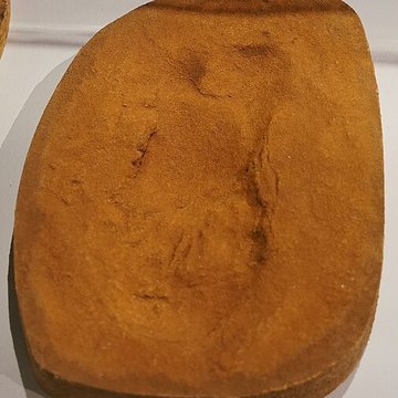 Site paléolithique moyen du Pou