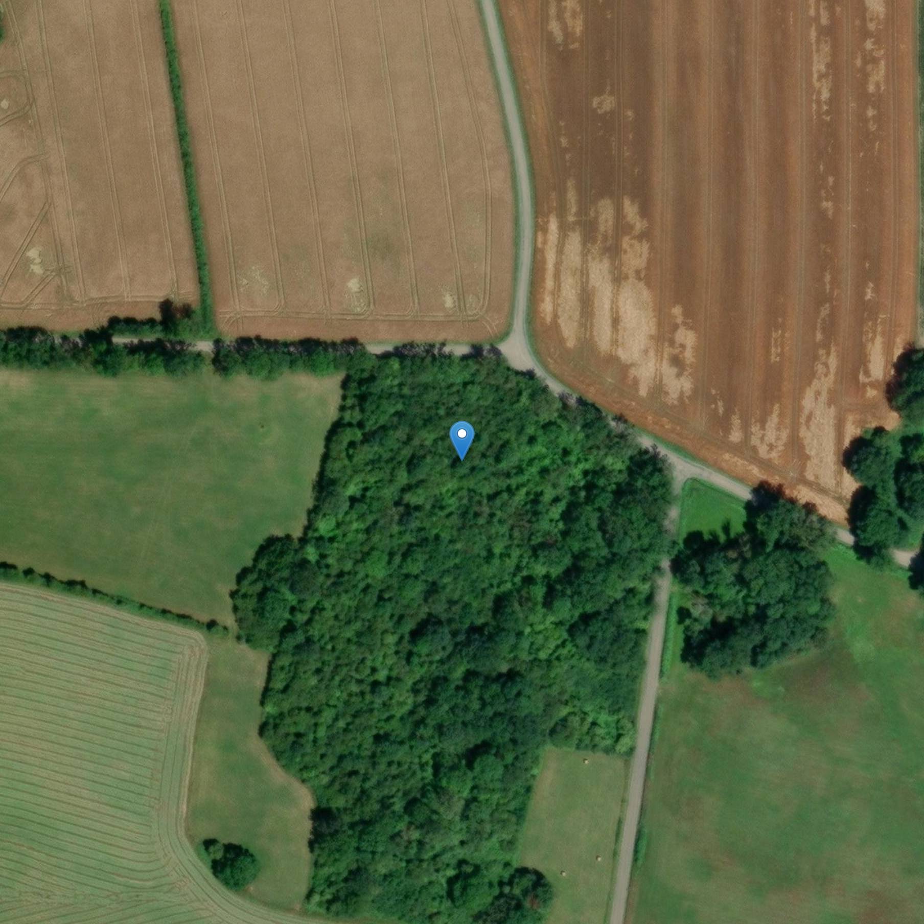 Photo de Forno di calce epinefrina sulla pagina