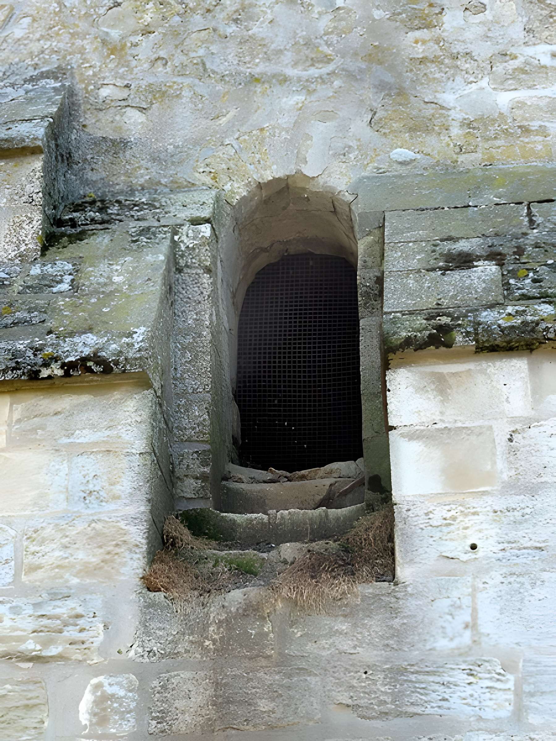 Église Saint-Martin de Rousseloy