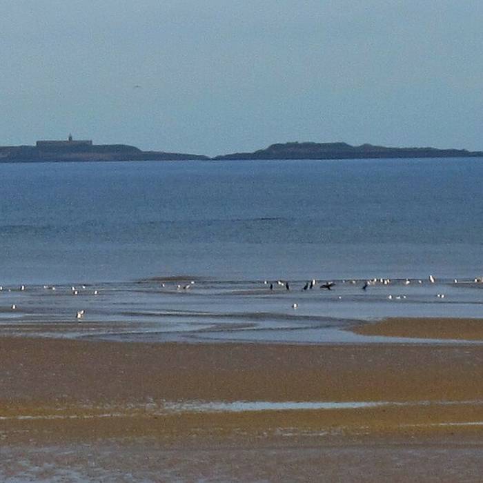 Photo de Fortifications des îles Saint-Marcouf