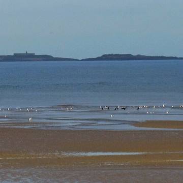 Fortifications des îles Saint-Marcouf