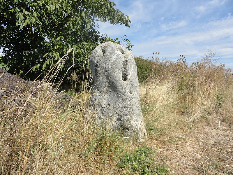 Menhir de Haute-Borne (également sur communes de Cramant et Oiry)