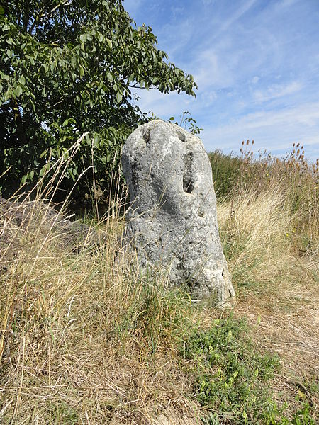 Menhir de Haute-Borne (également sur communes de Cramant et Oiry)