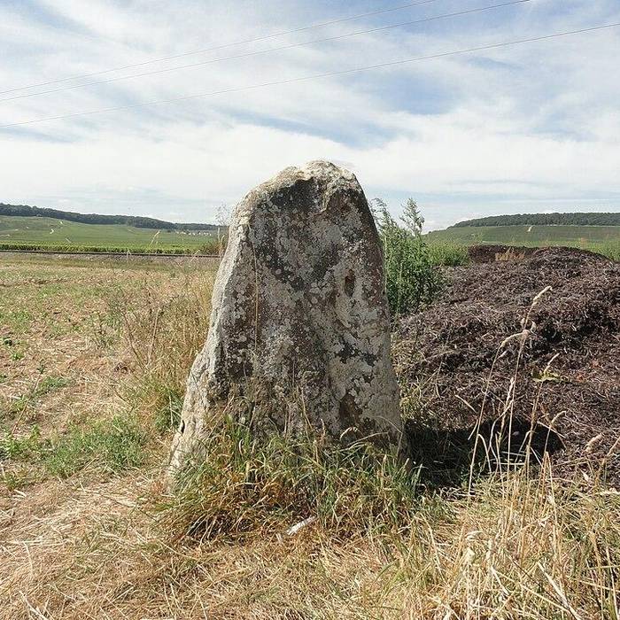 Photo de Menhir de Haute-Borne également sur communes de Cramant et Oiry