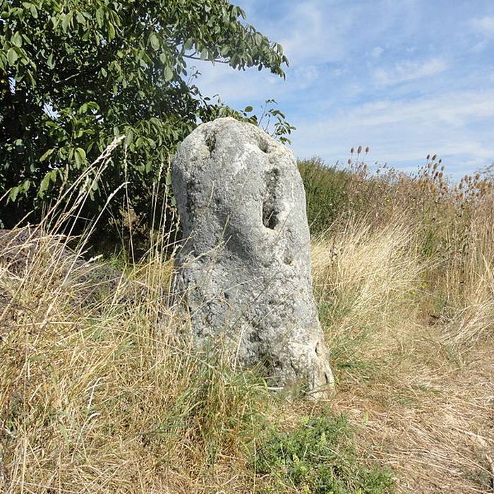 Photo de Menhir de Haute-Borne également sur communes de Cramant et Oiry