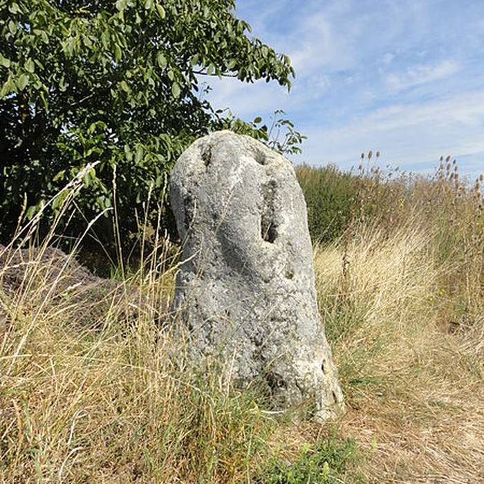 Photo de Menhir de Haute-Borne également sur communes de Cramant et Oiry