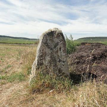 Menhir de Haute-Borne également sur communes de Cramant et Oiry