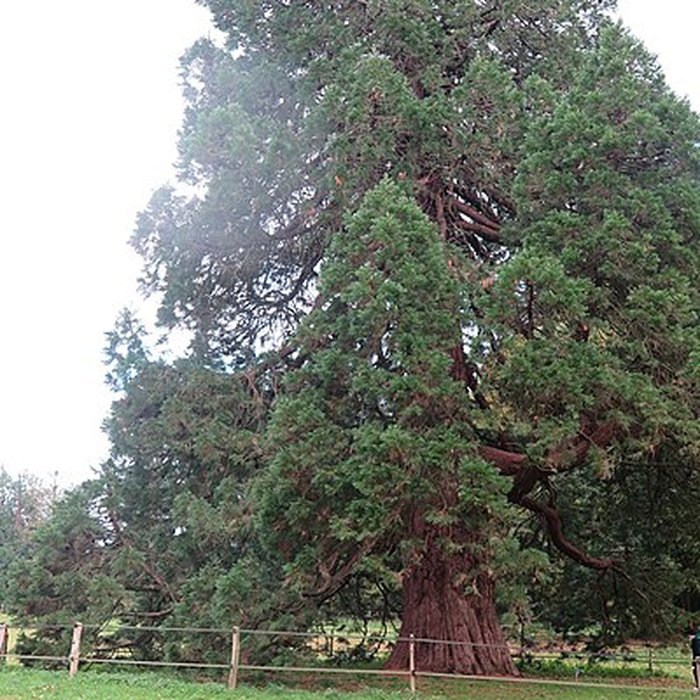 Photo de Domaine de Chantore