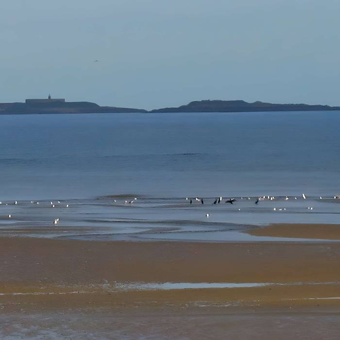 Photo de Fortifications des îles Saint-Marcouf