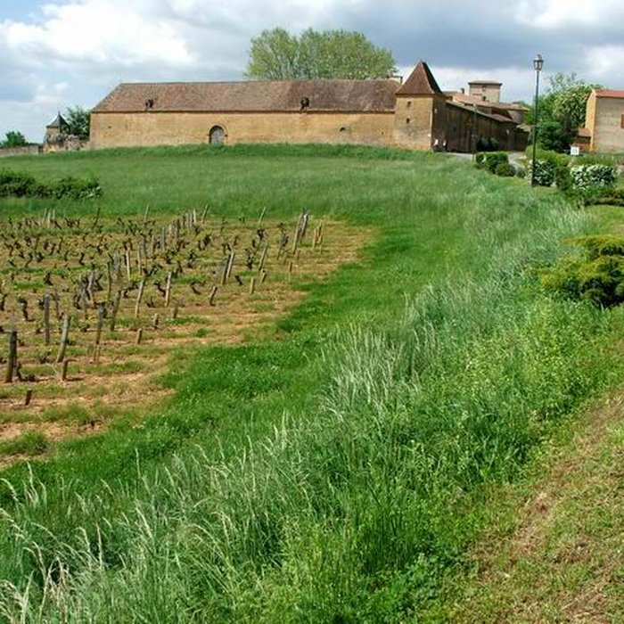 Photo de Château de Bagnols