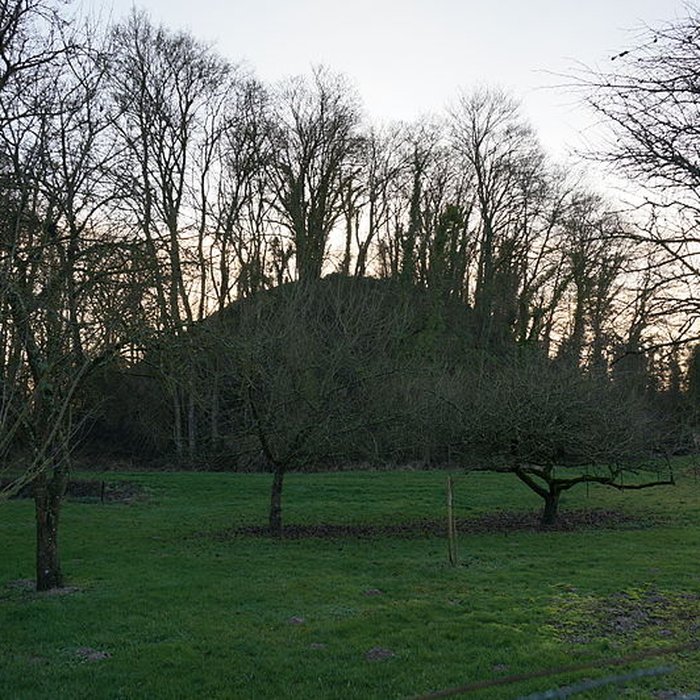 Photo de Tumulus