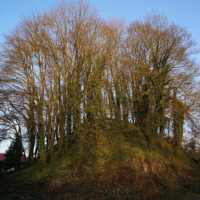 Photo de Tumulus