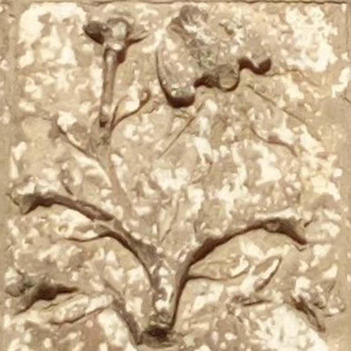 Photo de Église Saint-Martin dHarbonnières