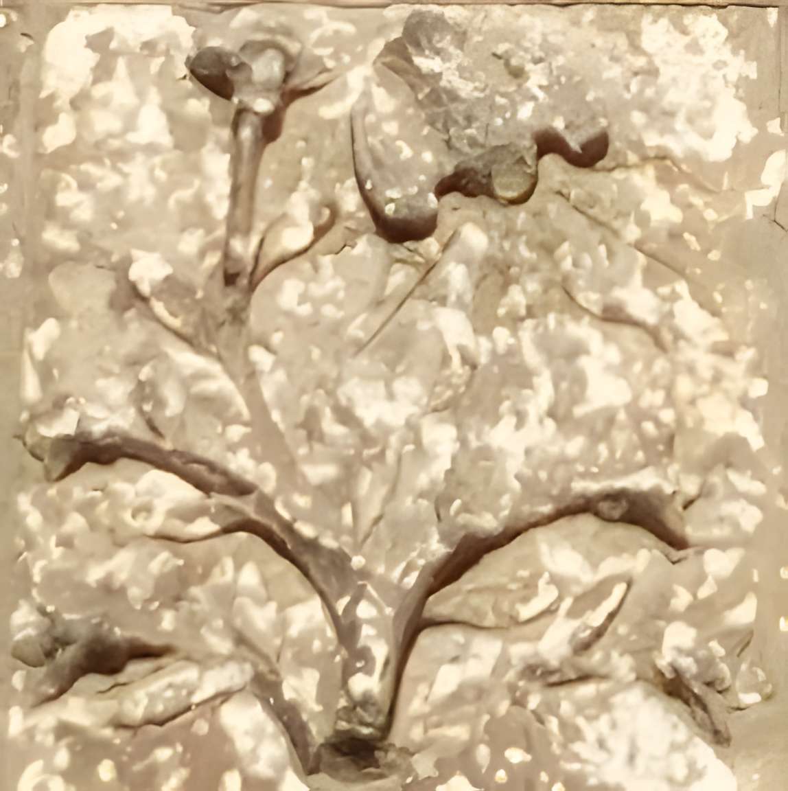 Église Saint-Martin d'Harbonnières