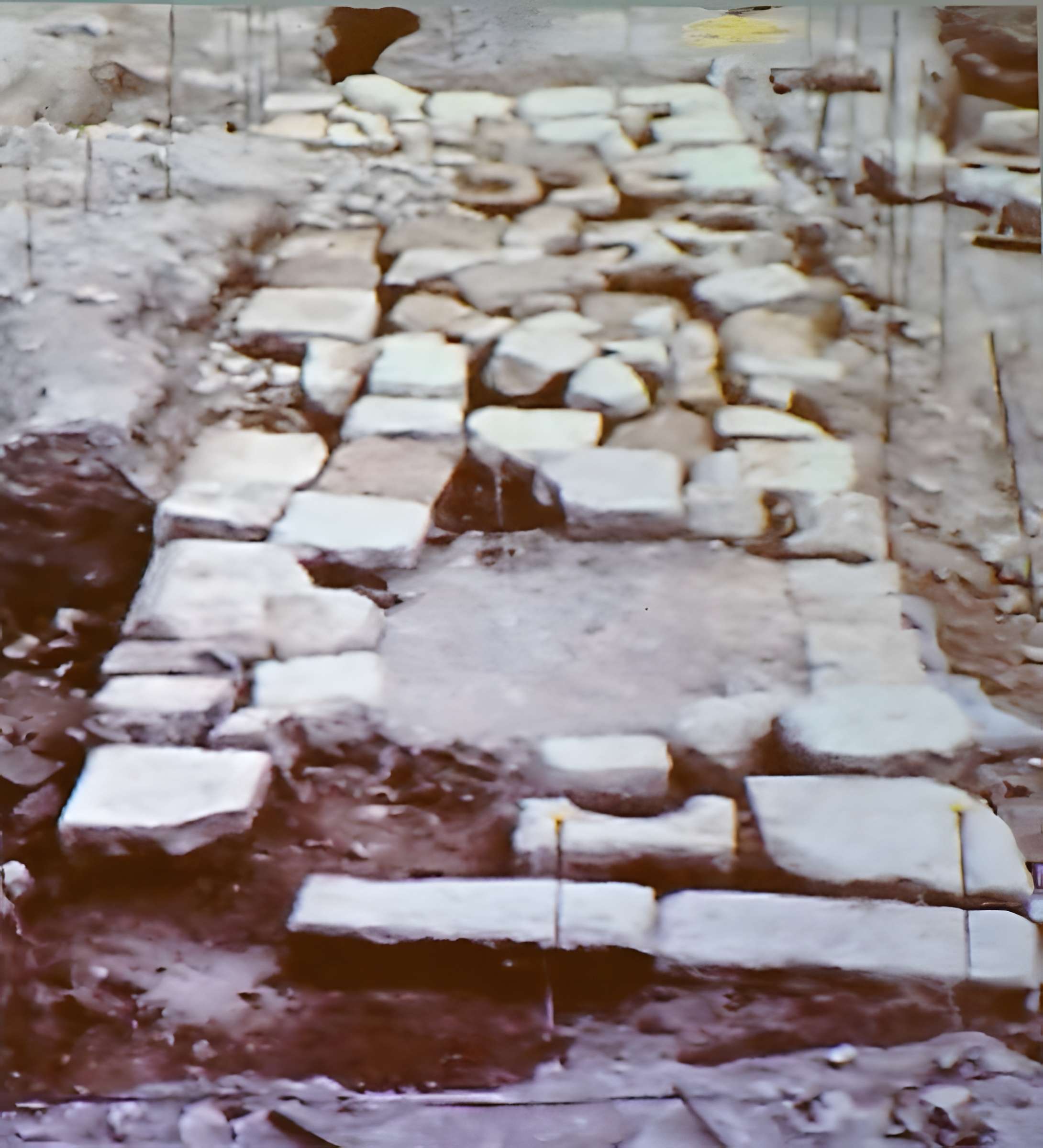 Porte Bazée (vestiges)