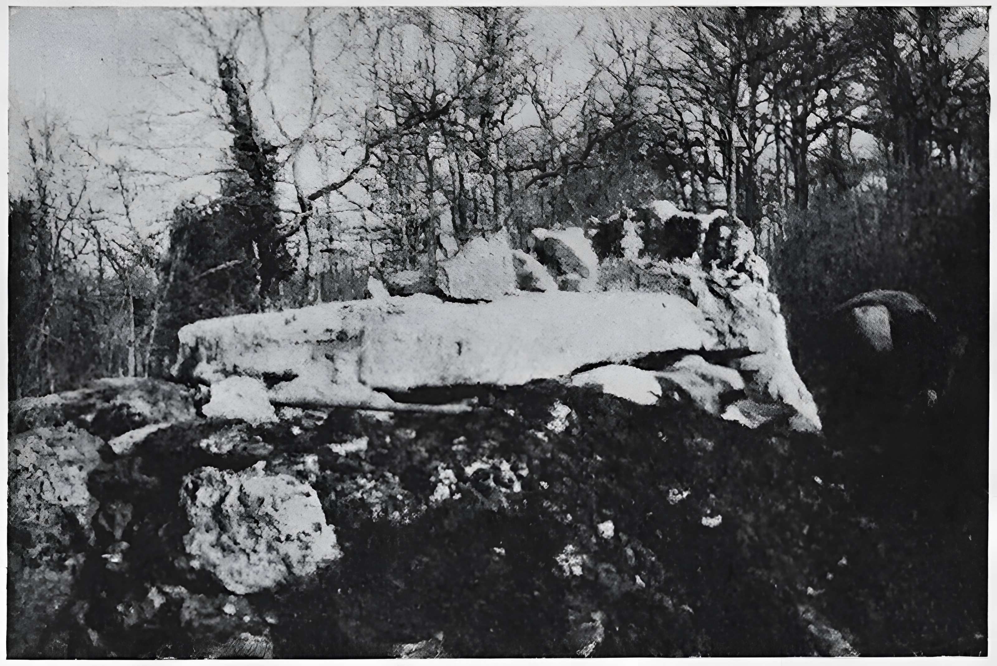 Dolmen dit du Reclus