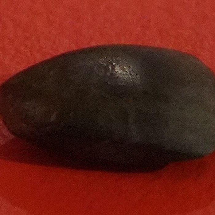 Photo de Grottes sépulcrales néolithiques