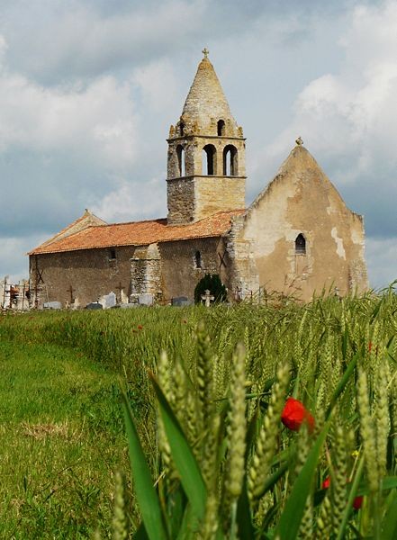 Photo de Église Saint-Martin-de-Noizé d'Oiron