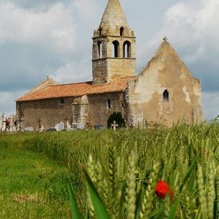 Photo de Église Saint-Martin-de-Noizé dOiron