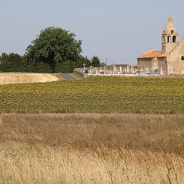 Église Saint-Martin-de-Noizé dOiron