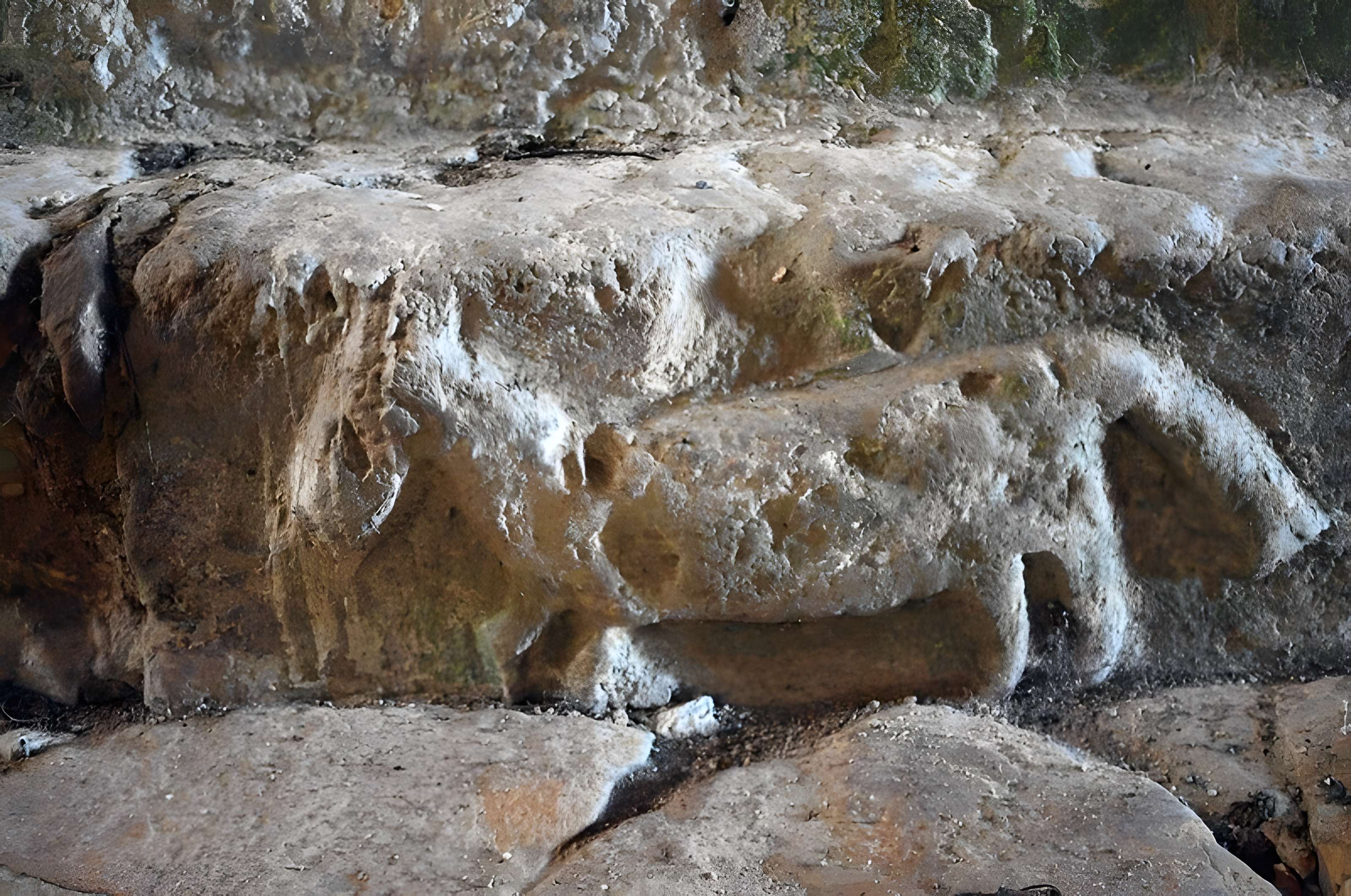 Église Saint-Martin-de-Noizé d'Oiron