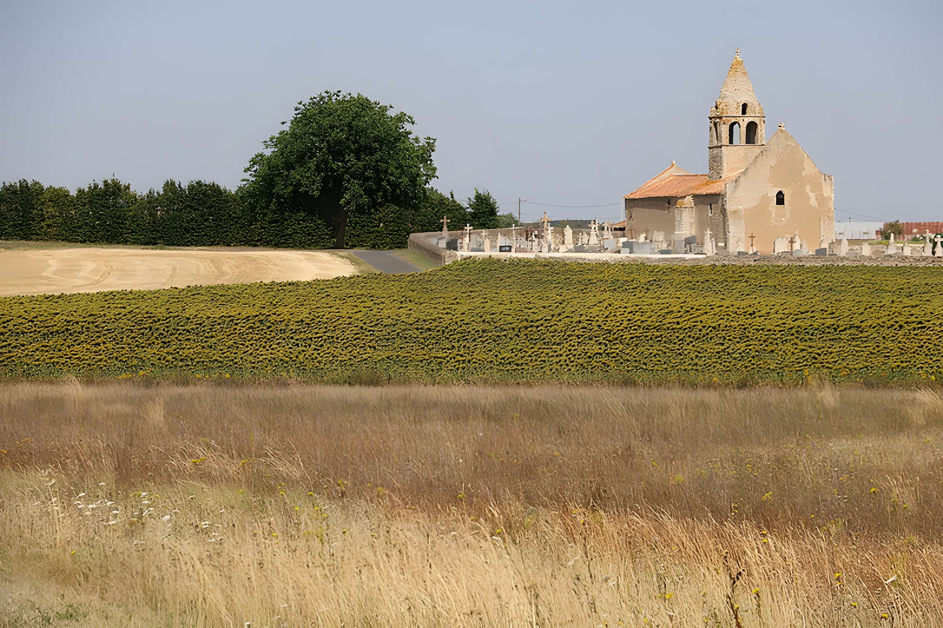 Église Saint-Martin-de-Noizé d'Oiron