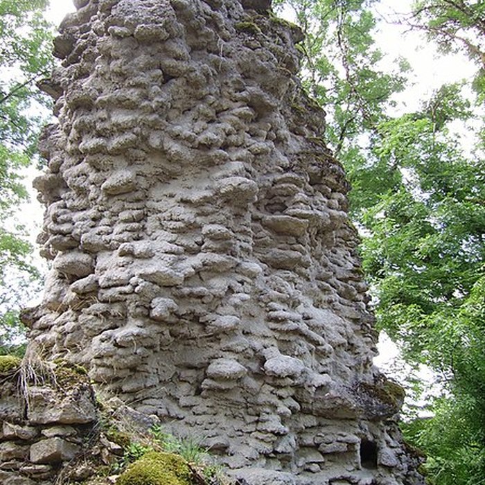 Photo de Château-fort restes
