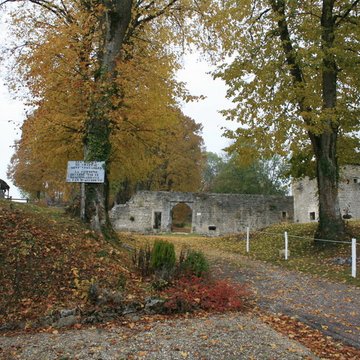 Château-fort restes