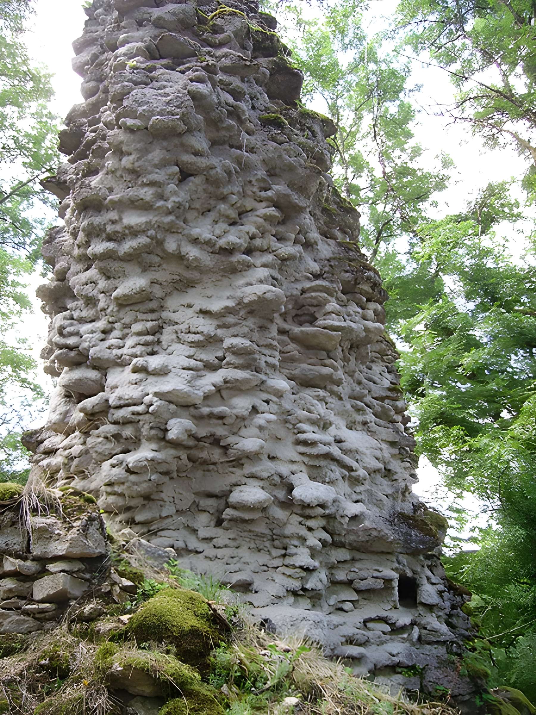 Château-fort (restes)