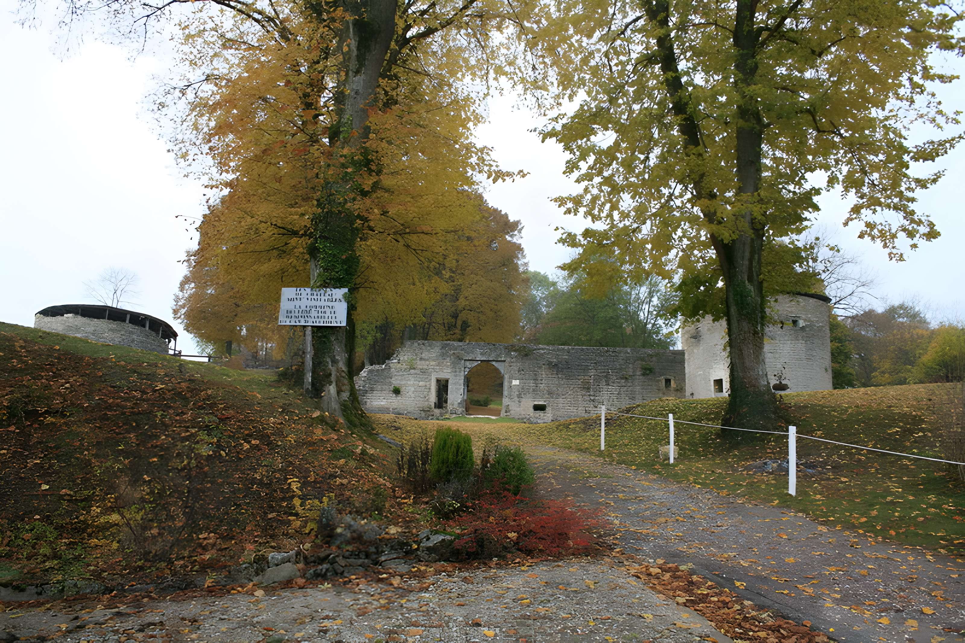 Château-fort (restes)