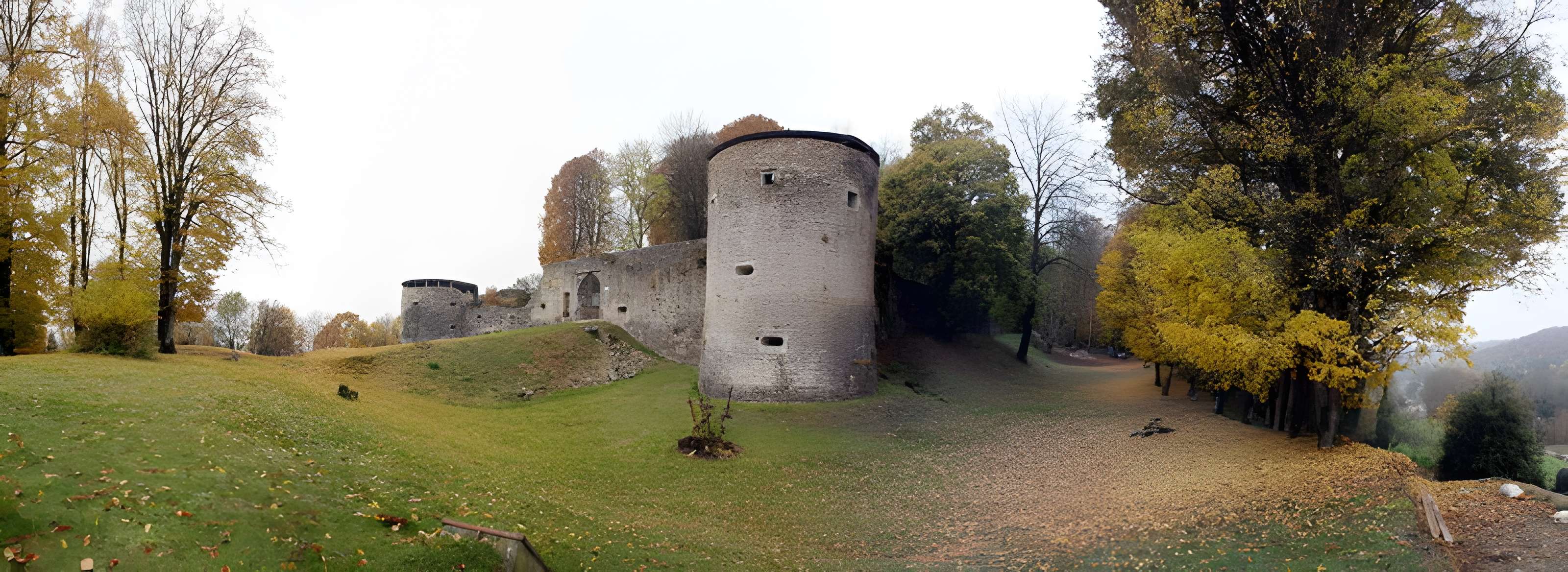 Château-fort (restes)