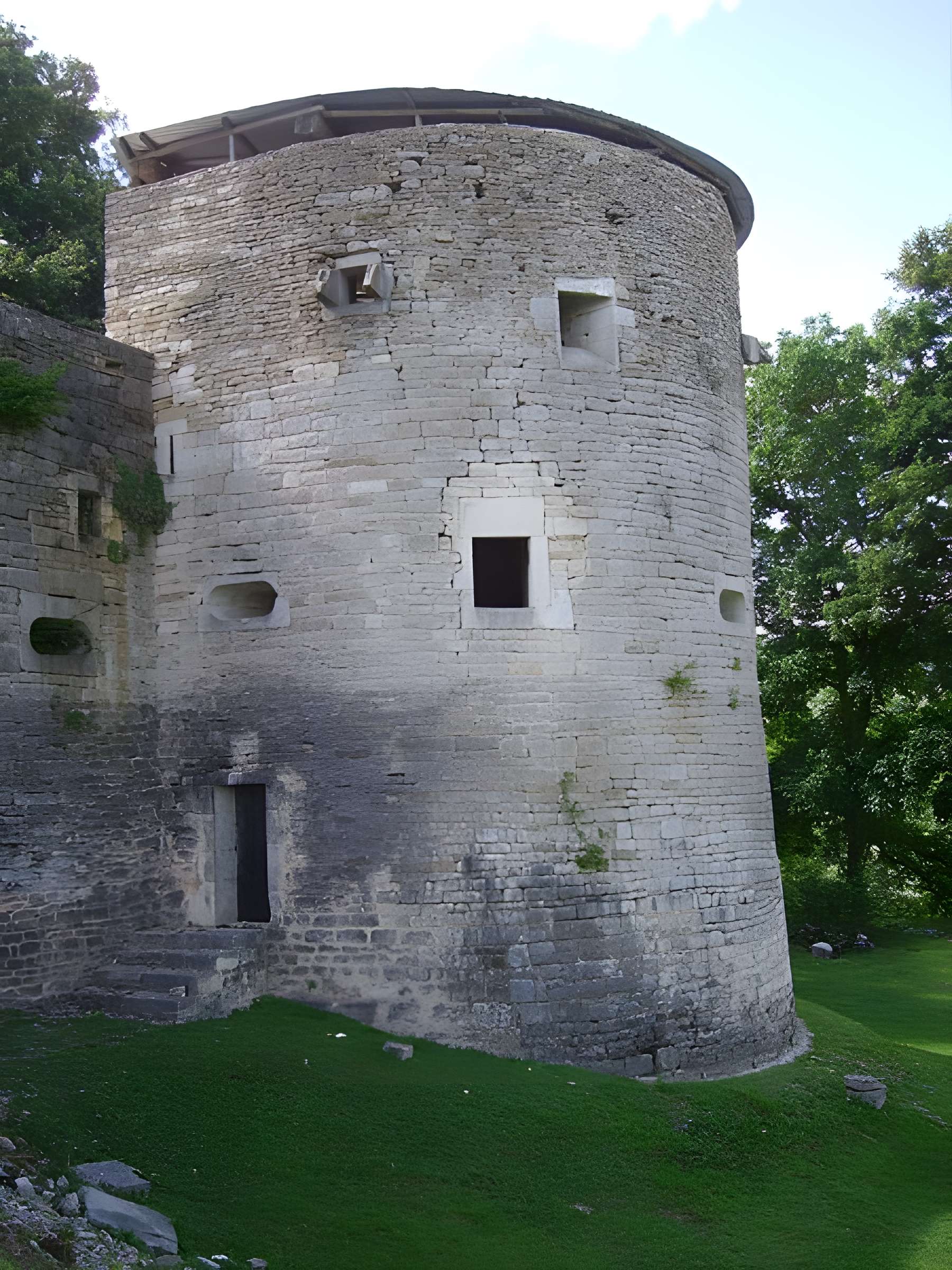 Château-fort (restes)