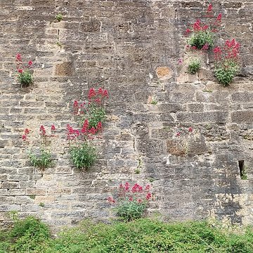 Remparts