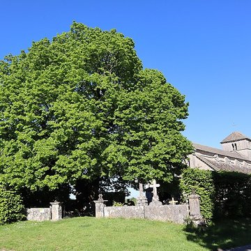 Eglise Saint-Symphorien dAubigny