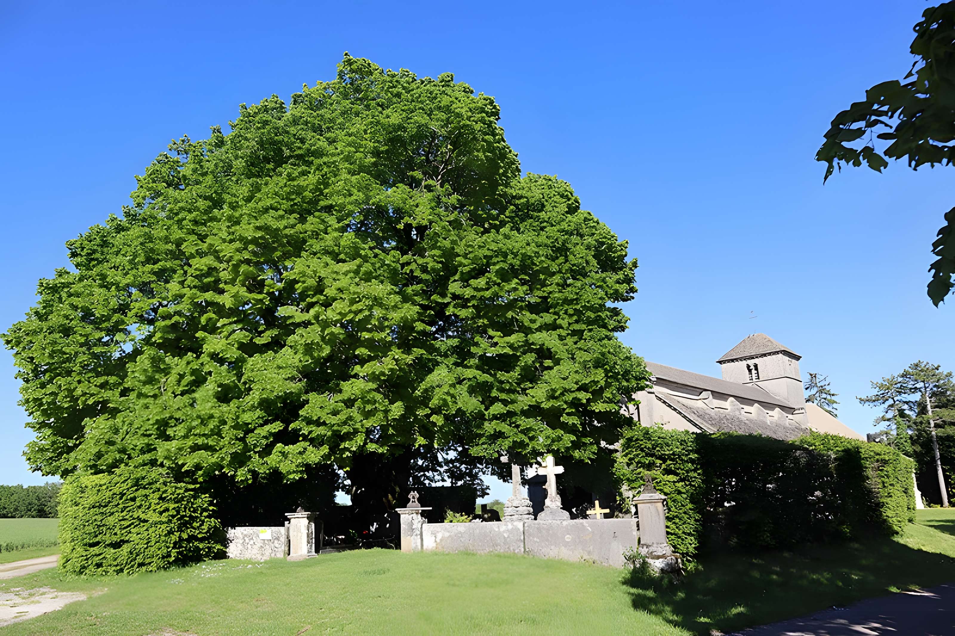 Eglise Saint-Symphorien d'Aubigny
