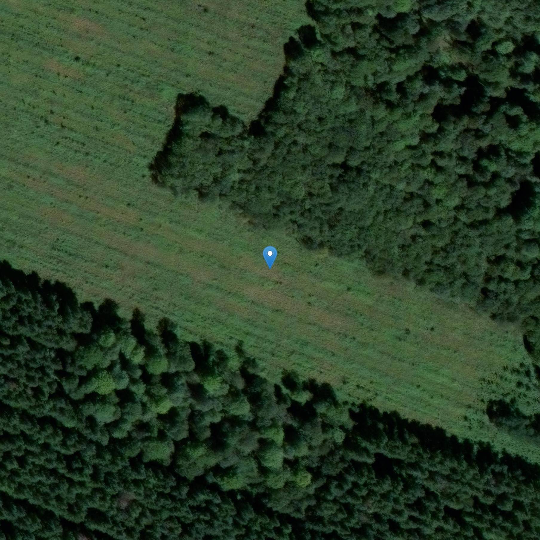 Photo de 混合墓地 (tumulus)