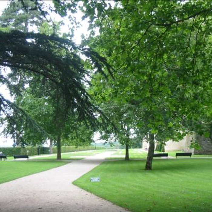 Photo de Château de Bazoches