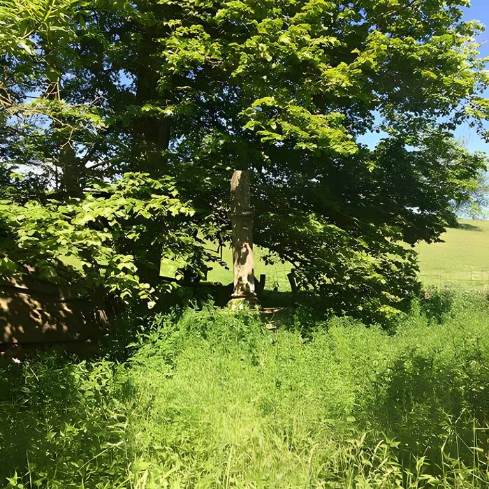 Photo de Croix du Champ-Cassier