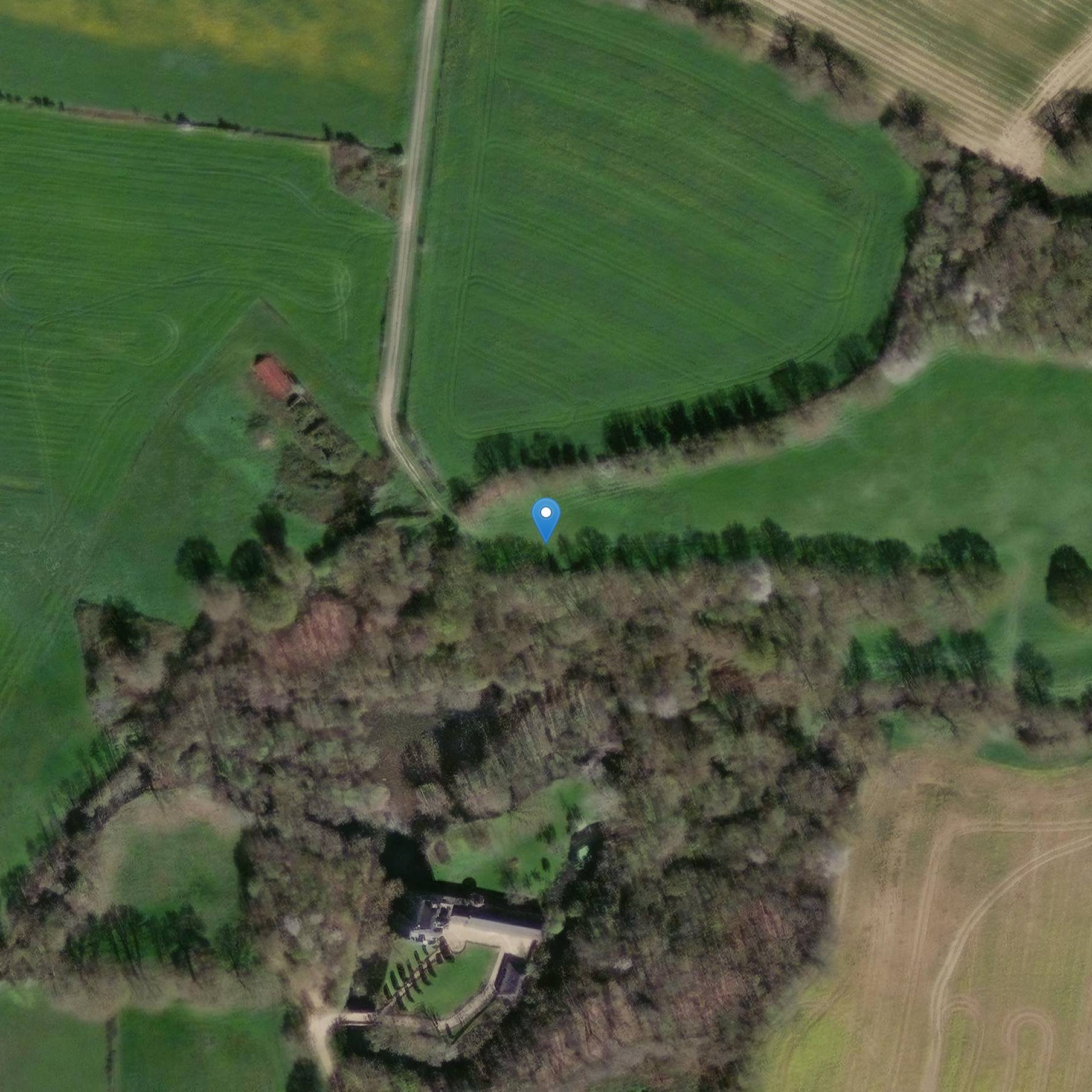 Photo de Piedra erecta de Haut-Bois