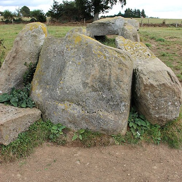 Photo de Allée Couverte dite La Tardivière