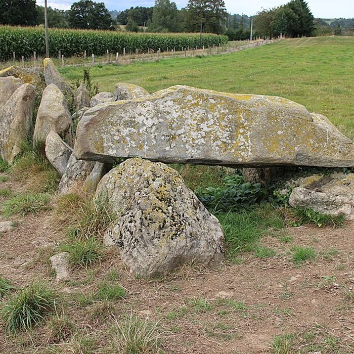 Photo de Allée Couverte dite La Tardivière