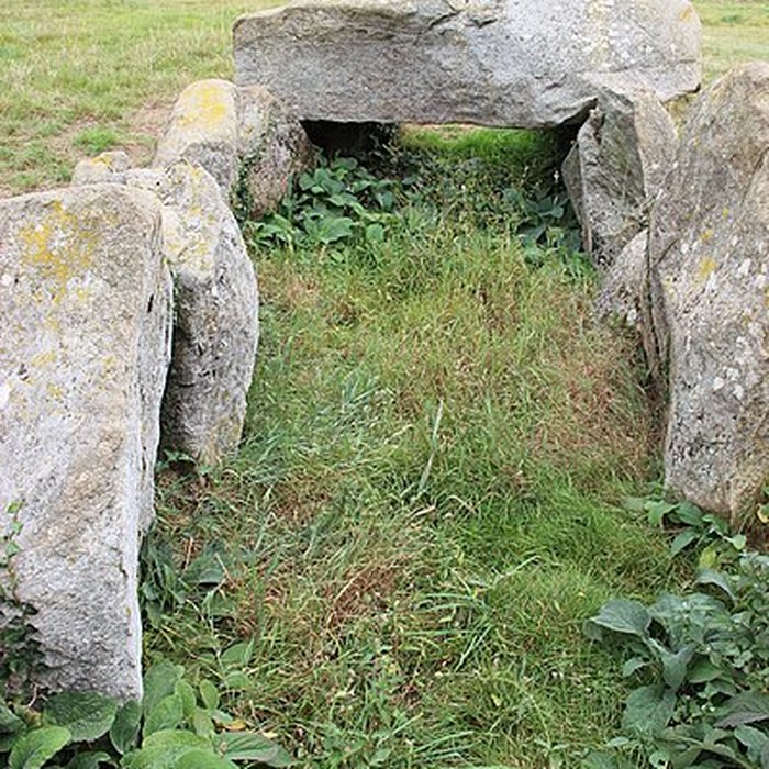 Photo de Allée Couverte dite La Tardivière