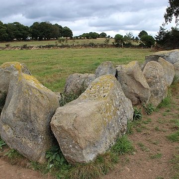 Allée Couverte dite La Tardivière