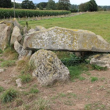 Allée Couverte dite La Tardivière