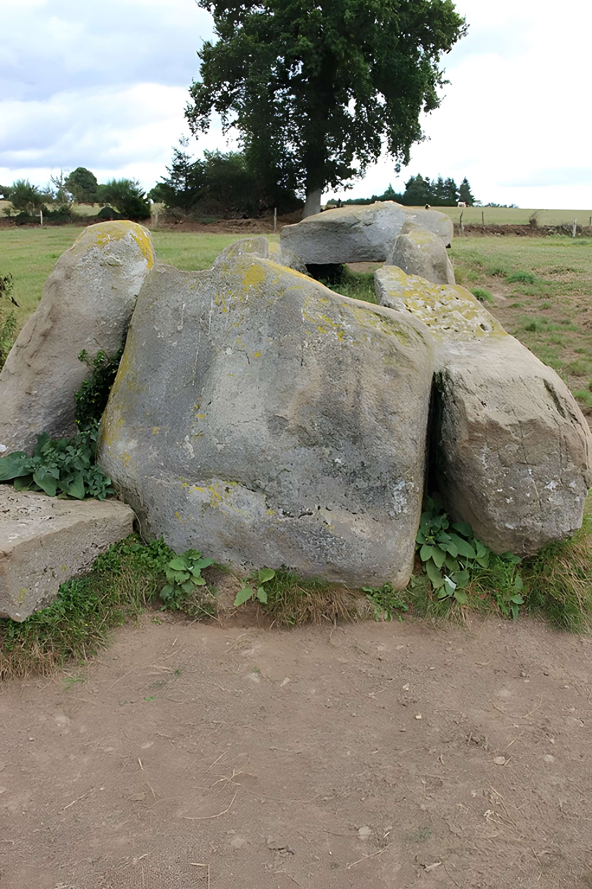 Allée Couverte dite La Tardivière