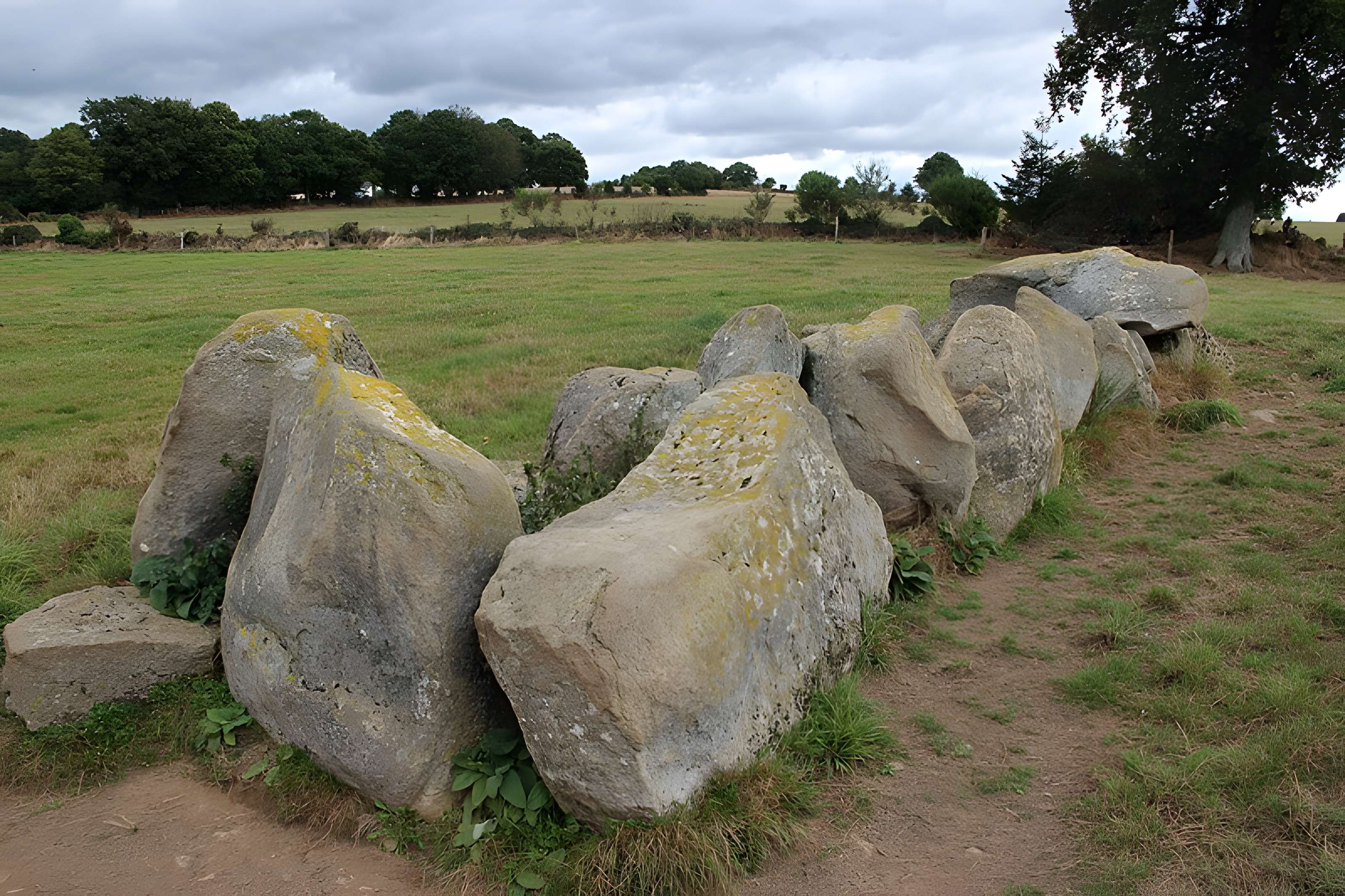 Allée Couverte dite La Tardivière
