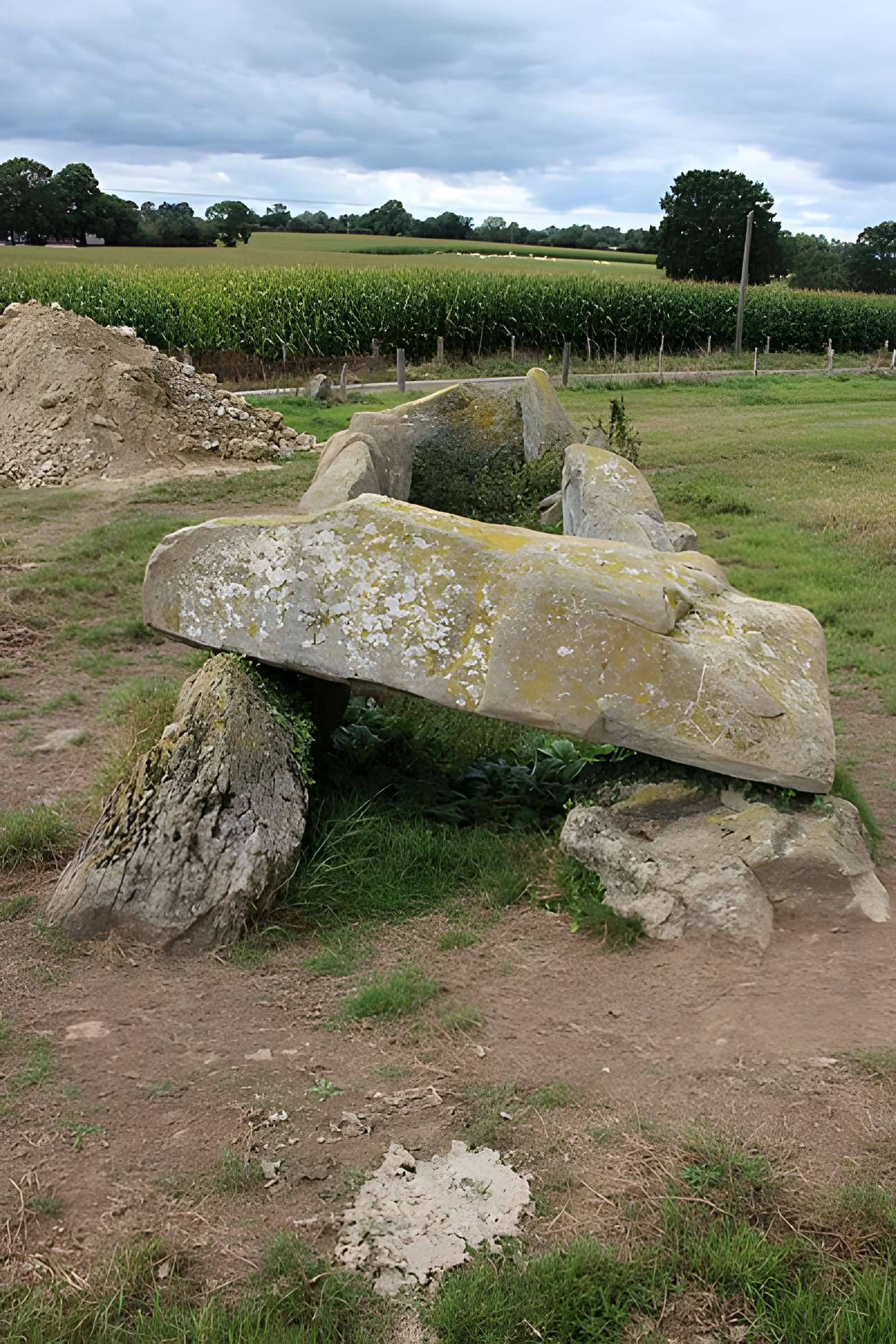 Allée Couverte dite La Tardivière
