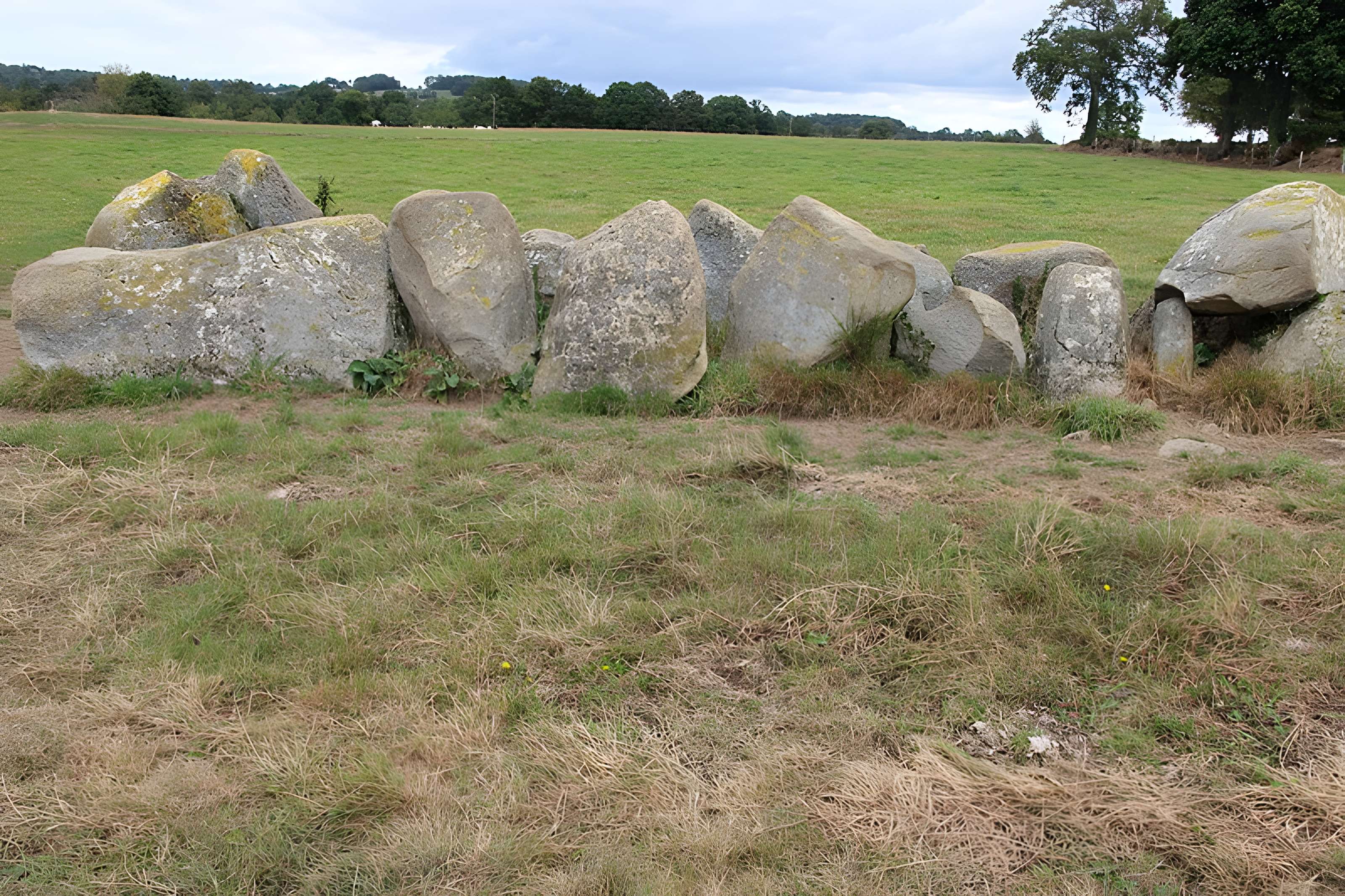 Allée Couverte dite La Tardivière
